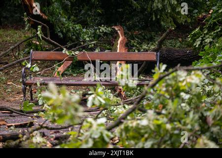 Zagreb, Croatie. 20 juillet 2024. Des arbres tombés sont vus après le passage de la tempête estivale au parc Maksimir à Zagreb, en Croatie, le 20 juillet 2024. Photo : Neva Zganec/PIXSELL crédit : Pixsell/Alamy Live News Banque D'Images