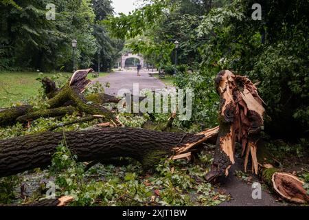 Zagreb, Croatie. 20 juillet 2024. Des arbres tombés sont vus après le passage de la tempête estivale au parc Maksimir à Zagreb, en Croatie, le 20 juillet 2024. Photo : Neva Zganec/PIXSELL crédit : Pixsell/Alamy Live News Banque D'Images