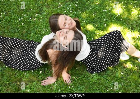 Deux belles soeurs jumelles passant du temps ensemble dans le parc, vue au-dessus Banque D'Images