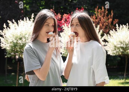 Deux belles sœurs jumelles mangeant de la crème glacée dans le parc Banque D'Images