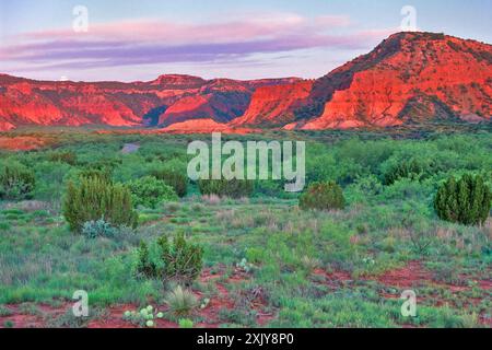 Buttes over South Prong River Canyon, au coucher de la lune, avant le lever du soleil, Caprock Canyons State Park, Texas, États-Unis Banque D'Images