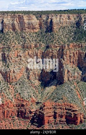 Couches striées de roches sédimentaires en cours d'érosion dans le Grand Canyon Banque D'Images