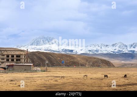 Le mont Yala est l'une des quatre montagnes saintes de la préfecture autonome tibétaine de Garze, en Chine. Cette vue est du côté ouest de la prairie de Tagong. Banque D'Images