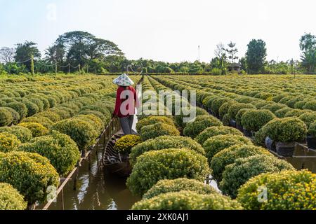 Vue du jardin de fleurs de sa Dec dans la province de Dong Thap, Vietnam. Il est célèbre dans le delta du Mékong, préparant des fleurs de transport au marché pour la vente à Tet ho Banque D'Images