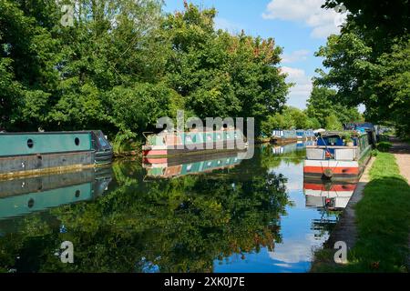 Bateaux étroits sur le Grand Union canal près de Hemel Hempstead, Hertfordshire, Royaume-Uni, en été Banque D'Images