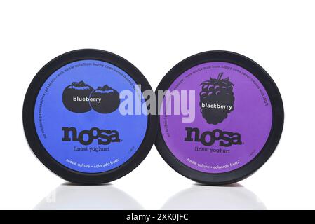 IRVINE, CALIFORNIE - 19 JUILLET 2024 : deux contenants de Noosa YouHurt, Blueberry et BlackBerry saveur. Banque D'Images