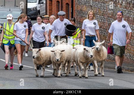 Overton Sheep Fair le 20 juillet 2024. L'événement quadriennal traditionnel a eu lieu dans le village du Hampshire d'Overton, Angleterre, Royaume-Uni, en commençant par un mouton conduit dans la rue. Il y avait beaucoup de stands et de divertissements, y compris la danse Morris et une variété de spectacles de musique live. Sur la photo : les moutons traversaient le centre du village. Banque D'Images