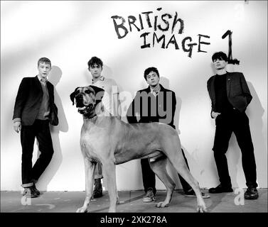 Blur Britpop band avec Damon Albarn, Alex James, Dave Rowntree & Graham Coxon et un grand chien danois. Images de presse et marketing, y compris les images britanniques n° 1 et n° 2. 1993 Banque D'Images