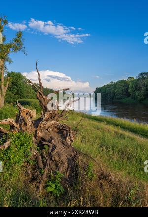 Une vue pittoresque à travers des accrocs de la rivière, herbe épaisse verte. Il y a d'énormes nuages dans le ciel bleu. Banque D'Images