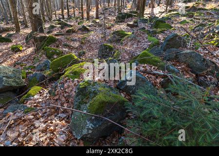 Peu de formations rocheuses petites et géantes à côté du sentier de montagne à la journée ensoleillée en hiver Banque D'Images