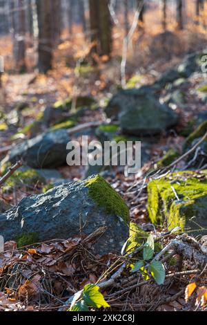 Peu de formations rocheuses petites et géantes à côté du sentier de montagne à la journée ensoleillée en hiver Banque D'Images