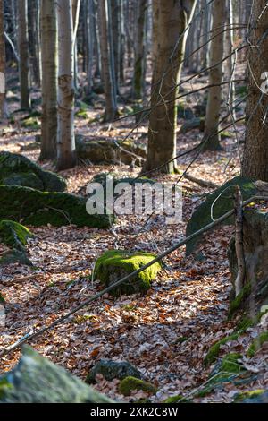 Peu de formations rocheuses petites et géantes à côté du sentier de montagne à la journée ensoleillée en hiver Banque D'Images