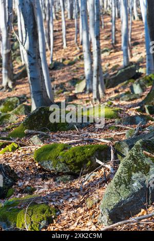 Peu de formations rocheuses petites et géantes à côté du sentier de montagne à la journée ensoleillée en hiver Banque D'Images