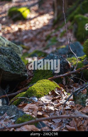 Peu de formations rocheuses petites et géantes à côté du sentier de montagne à la journée ensoleillée en hiver Banque D'Images