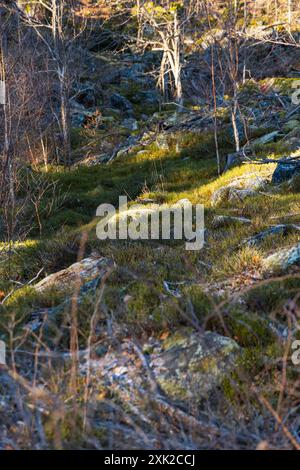 Peu de formations rocheuses petites et géantes à côté du sentier de montagne à la journée ensoleillée en hiver Banque D'Images