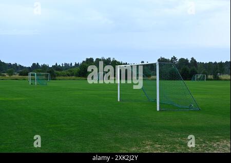 Un terrain de football vide avec plusieurs poteaux de but sur fond de verdure luxuriante et d'arbres sous un ciel couvert. L'herbe verte bien entretenue Banque D'Images