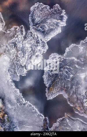 Cette image saisissante met en valeur les motifs de glace délicats et uniques qui se forment sous les températures glaciales des Lofoten, en Norvège. Illuminé par une lumière douce, th Banque D'Images