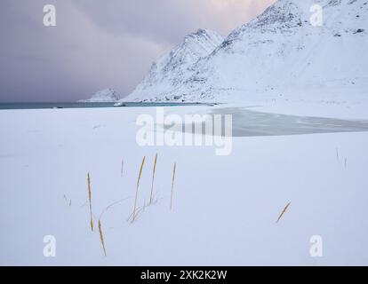 Une scène hivernale sereine dans les Lofoten, en Norvège, mettant en valeur une vaste étendue de neige avec un fjord partiellement gelé, entouré par l'imposant mountai enneigé Banque D'Images