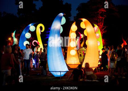 Bad Zwischenahn, Allemagne. 20 juillet 2024. De nombreux visiteurs voient les éléments d'éclairage colorés dans le Kurpark am Zwischenahner Meer pendant la nuit des lumières. Dans le cadre de la nuit des lumières, les jardins du spa de Bad Zwischenahn ont été transformés en une mer de couleurs. Crédit : Hauke-Christian Dittrich/dpa/Alamy Live News Banque D'Images