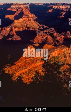 1989 : vue de la rive nord du Grand Canyon en Arizona depuis Yaki point sur la rive sud au lever du soleil. Banque D'Images