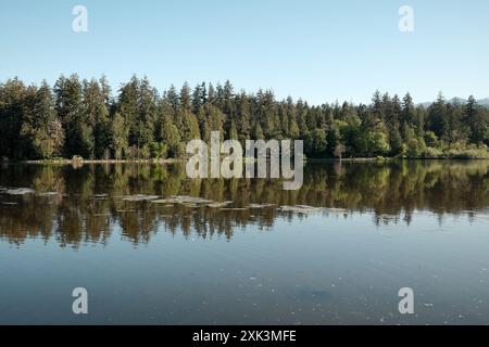 The Lost Lagoon dans le parc Stanley de Vancouver Banque D'Images