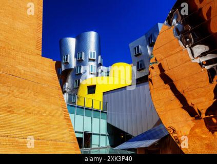 Cambridge, Massachusetts, États-Unis - 22 février 2024 : Stata Center, Ray and Maria Stata Center, Massachusetts Institute of Technology MIT. Banque D'Images