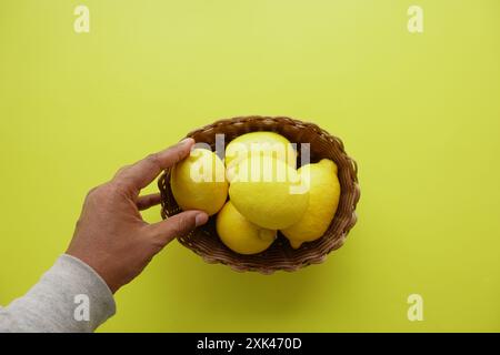 Cueillette à la main des citrons fraîchement récoltés dans un panier sur un fond jaune vif Banque D'Images