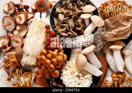 Collection de champignons crus asiatiques. Concept de nourriture saine. Vue de dessus Banque D'Images