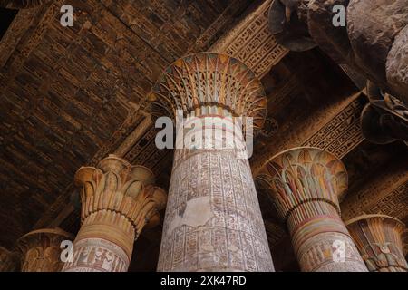 Sculptures égyptiennes anciennes et décorations sur les colonnes et le plafond du temple Khnum à Esna, Louxor, Égypte Banque D'Images