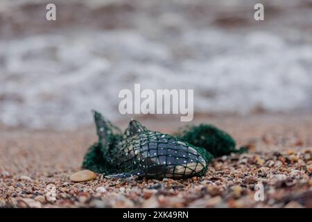 Requin baleine jouet emmêlé dans un filet de pêche. Pollution des océans du monde avec le concept des déchets plastiques. Les animaux marins sont blessés par les déchets plastiques. Surpêche Banque D'Images