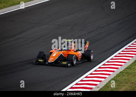 08 SZTUKA Kacper (pol), MP Motorsport, Dallara F3 2019, action lors de la 8ème manche du Championnat FIA de formule 3 2024 du 19 au 21 juillet 2024 sur le Hungaroring, à Mogyorod, Hongrie - photo Xavi Bonilla / DPPI Banque D'Images