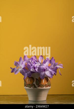 Bouquet créatif avec des fleurs de crocus printanières dans un vase sur fond jaune. Concept Spring minimal. Banque D'Images