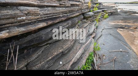 Rocher en couches sur le rivage de la baie Georgienne. Formations rocheuses gneiss du bouclier canadien à Parry Sound, Ontario, dans la baie Georgienne du lac Huron Banque D'Images
