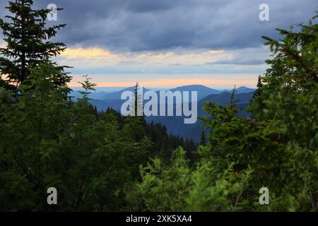 Une vue panoramique depuis la chaîne de montagnes Rax en basse-Autriche, vers le nord. Au premier plan se trouvent des arbres vert vif silhouettés contre des soleils vibrants Banque D'Images