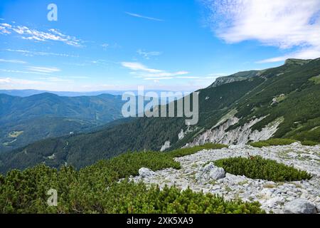 En regardant vers le bas de la chaîne de montagnes Rax dans les Alpes viennoises vers Langermanngraben en été, la vue capture une forêt dense couvrant une sl abrupte Banque D'Images