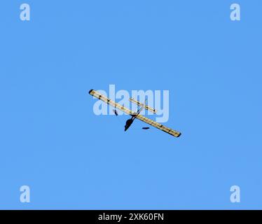 Vintage Schneider Glider dans le ciel bleu de vol et les nuages. Banque D'Images