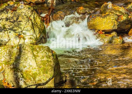Gros plan sur les cascades de Rocky Fork Creek dans le parc d'État de Rocky Fork, Tennessee. Banque D'Images