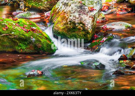 Feuilles multicolores et eau dans un gros plan petites cascades dans le Tennessee rural. Banque D'Images