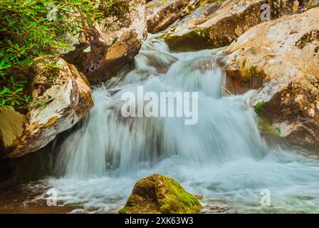 Gros plan sur les cascades de Rocky Fork Creek dans le parc d'État de Rocky Fork, Tennessee. Banque D'Images