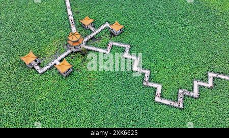 Qianxinan, Chine. 21 juillet 2024. Le 21 juillet 2024, les visiteurs observent des fleurs de lotus en pleine floraison au parc national des zones humides de Zhaodi dans le comté d'Anlong, dans la préfecture autonome de Qianxinan Buyi et Miao, dans la province du Guizhou au sud-ouest de la Chine. (Photo de Costfoto/NurPhoto) crédit : NurPhoto SRL/Alamy Live News Banque D'Images