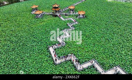 Qianxinan, Chine. 21 juillet 2024. Le 21 juillet 2024, les visiteurs observent des fleurs de lotus en pleine floraison au parc national des zones humides de Zhaodi dans le comté d'Anlong, dans la préfecture autonome de Qianxinan Buyi et Miao, dans la province du Guizhou au sud-ouest de la Chine. (Photo de Costfoto/NurPhoto) crédit : NurPhoto SRL/Alamy Live News Banque D'Images