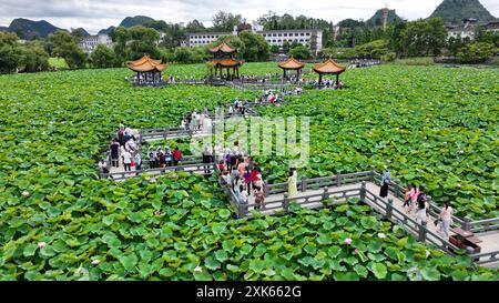 Qianxinan, Chine. 21 juillet 2024. Le 21 juillet 2024, les visiteurs observent des fleurs de lotus en pleine floraison au parc national des zones humides de Zhaodi dans le comté d'Anlong, dans la préfecture autonome de Qianxinan Buyi et Miao, dans la province du Guizhou au sud-ouest de la Chine. (Photo de Costfoto/NurPhoto) crédit : NurPhoto SRL/Alamy Live News Banque D'Images