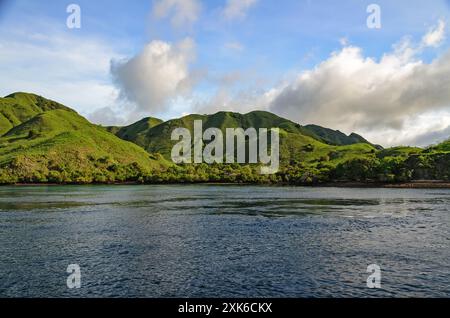 Collines verdoyantes près de l'île de Komodo. Îles de la petite Sunda. Indonésie Banque D'Images