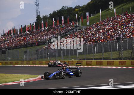 23 ALBON Alexander (Tha), Williams Racing FW45, action lors du Grand Prix de Hongrie de formule 1 2024, 13e manche du Championnat du monde de formule 1 2024 du 19 au 21 juillet 2024 sur le Hungaroring, à Mogyorod, Hongrie Banque D'Images