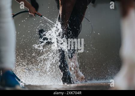 Jambes de cheval rincées avec un tuyau d'eau après la séance d'entraînement Banque D'Images