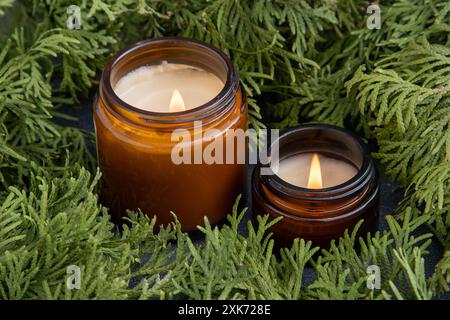 Bougie de soja dans un bocal en verre. Branches vertes de thuja. Bougies parfumées Banque D'Images