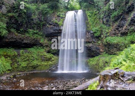 Pays de Galles Royaume-Uni. Henrhyd Falls situé dans la vallée de la rivière Nant Llech. Situé dans les Brecon Beacons et la plus haute cascade du sud du pays de Galles Banque D'Images