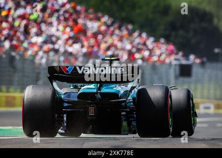 14 ALONSO Fernando (spa), Aston Martin F1 Team AMR24, action lors du Grand Prix de Hongrie de formule 1 2024, 13e manche du Championnat du monde de formule 1 2024 du 19 au 21 juillet 2024 sur le Hungaroring, à Mogyorod, Hongrie Banque D'Images