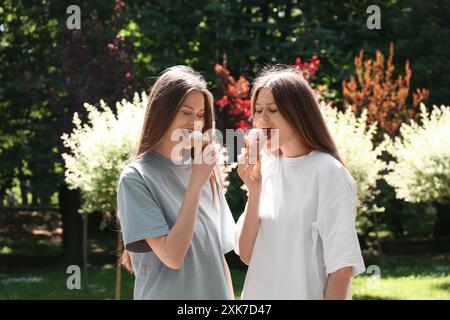 Deux belles sœurs jumelles mangeant de la crème glacée dans le parc Banque D'Images