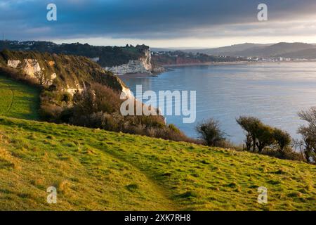 La bière, Site du patrimoine mondial de la Côte Jurassique, Devon, Angleterre Banque D'Images